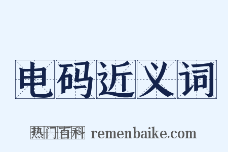 电码近义词是什么意思的图片